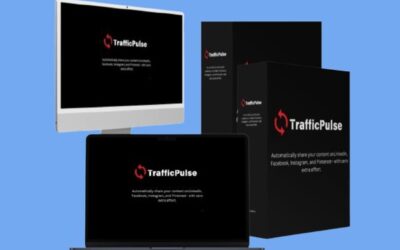 Traffic Pulse: Instantly Boost Traffic to Your WordPress Blog